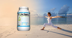 pondera helps balance nutrients in the body for diabetes